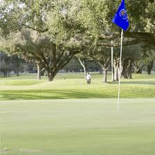 Miami Springs Golf & Country Club Logo