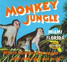 Monkey Jungle Logo