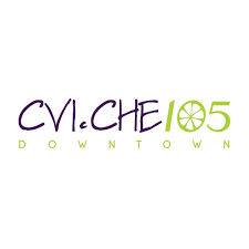 CVI.CHE 105 Logo