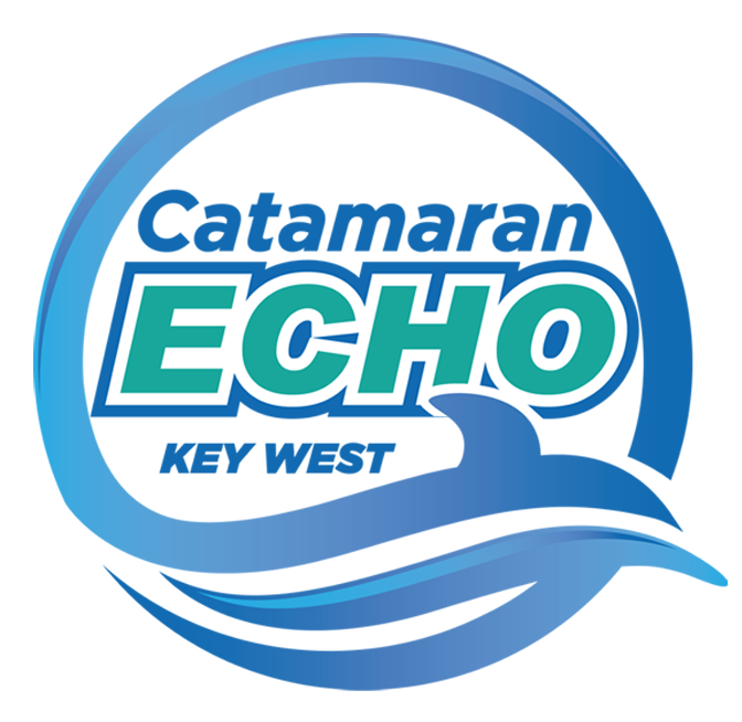 Catamaran Echo Logo