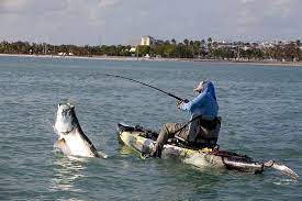 Bone Collector Kayak Fishing Charters - Keys And South Florida Logo